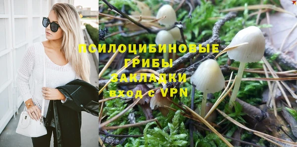 кокаин Каменка