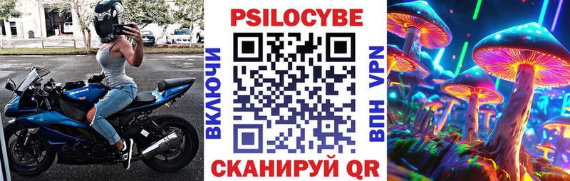 Псилоцибиновые грибы GOLDEN TEACHER Добрянка